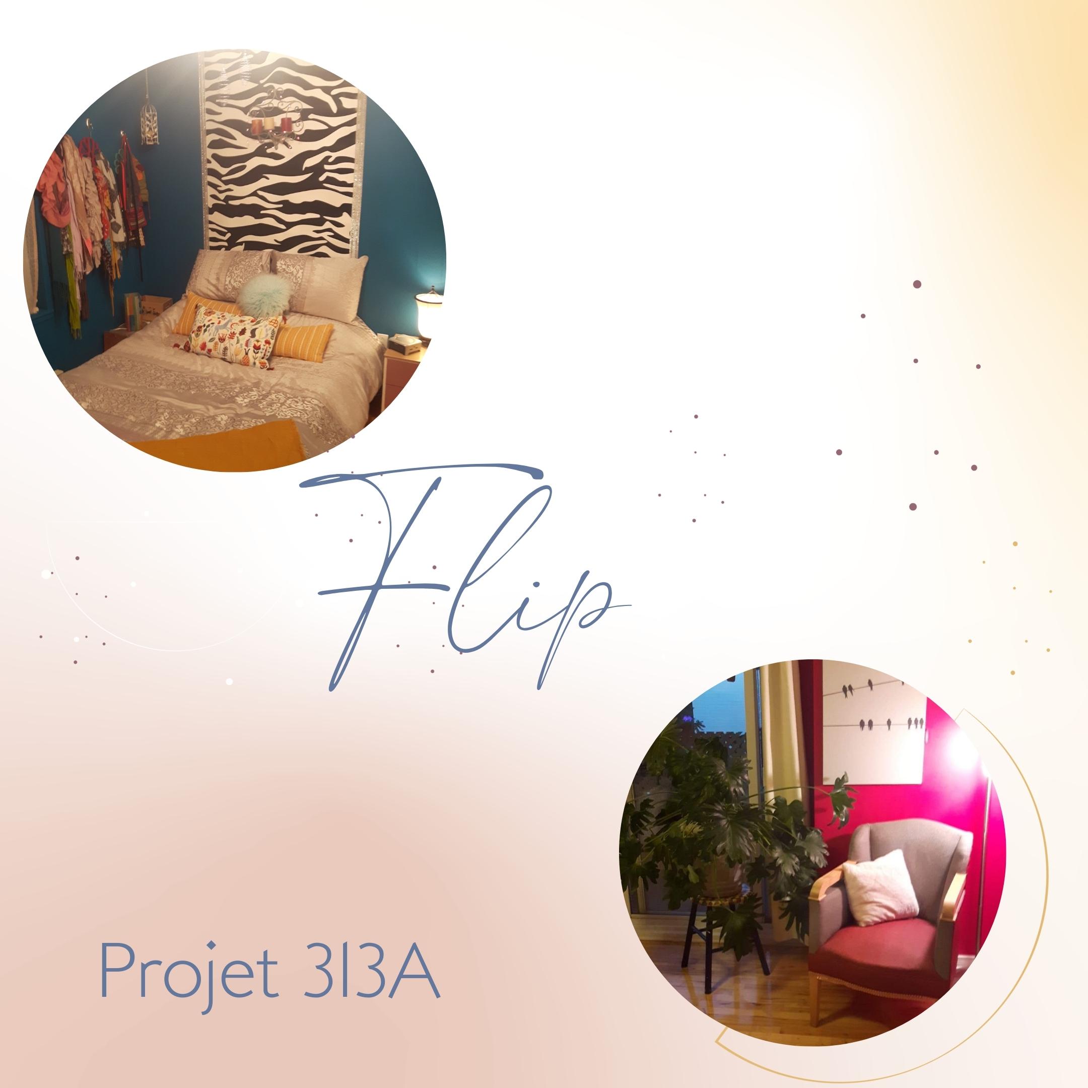 Projet 313